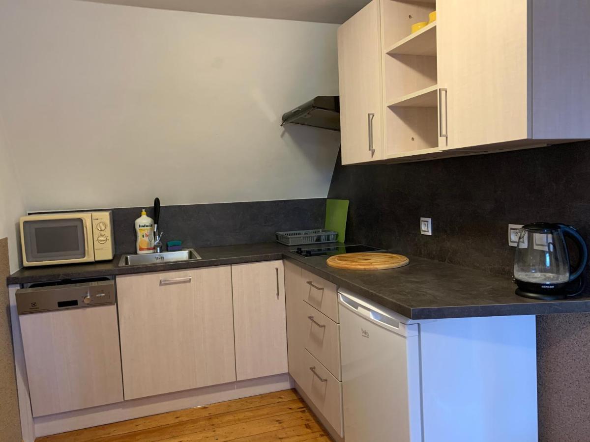 Apartments Benesov Nad Ploucnici Экстерьер фото