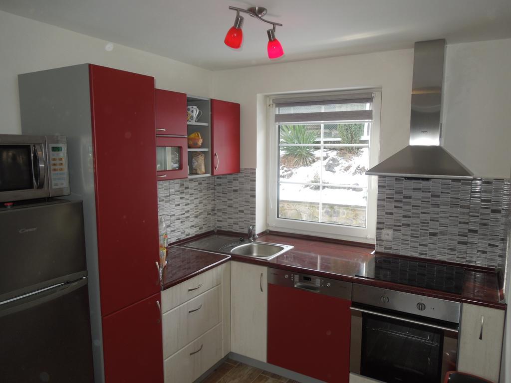 Apartments Benesov Nad Ploucnici Номер фото